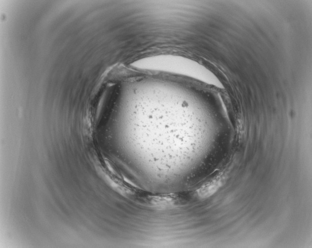 X0000087670572200705251622