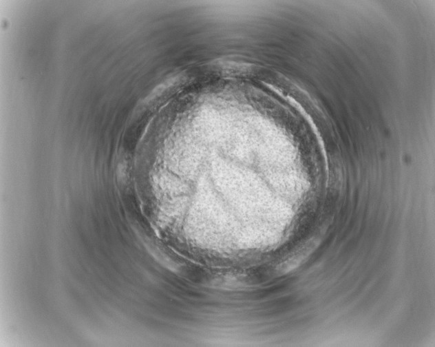 X0000087670573200705251622