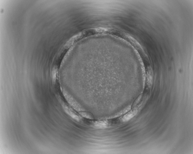 X0000087670574200705251622