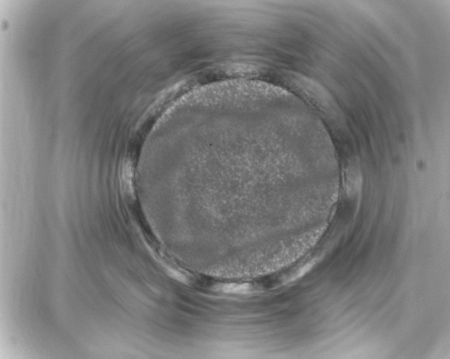 X0000087670575200705251622