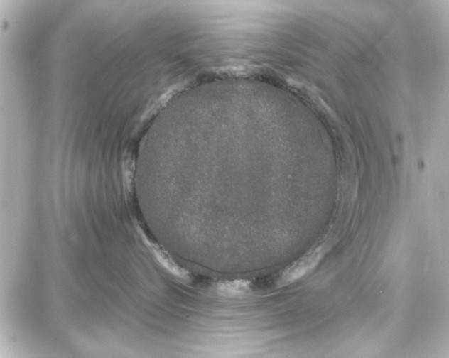 X0000087670576200705251622