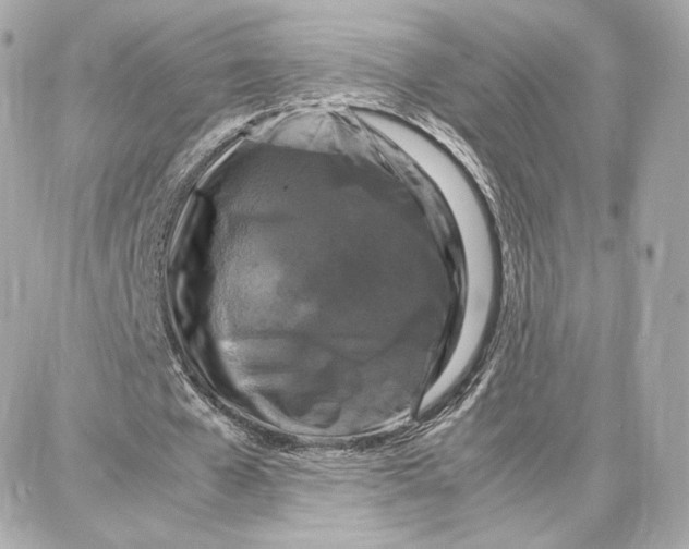 X0000087670577200705251621