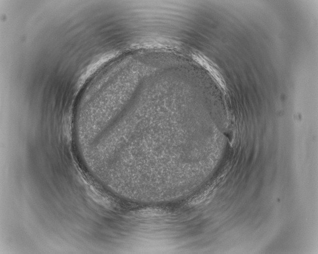 X0000087670578200705251621