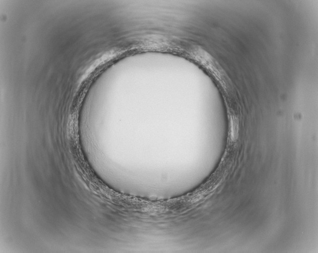 X0000087670579200705251621