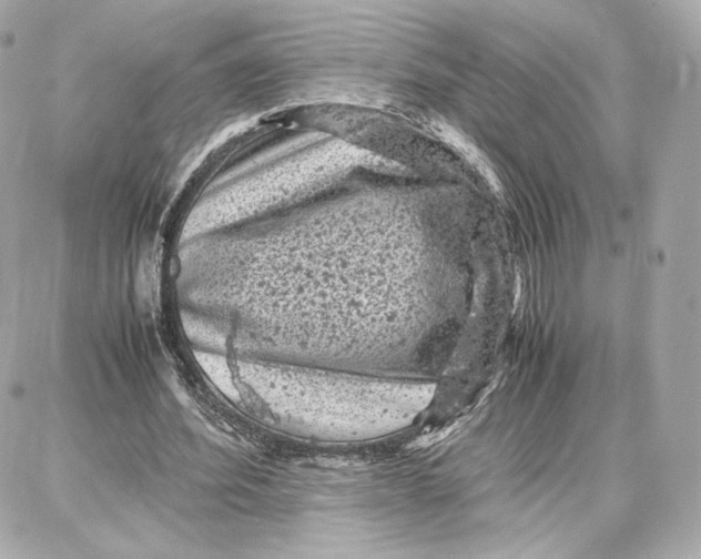 X0000087670580200705251621