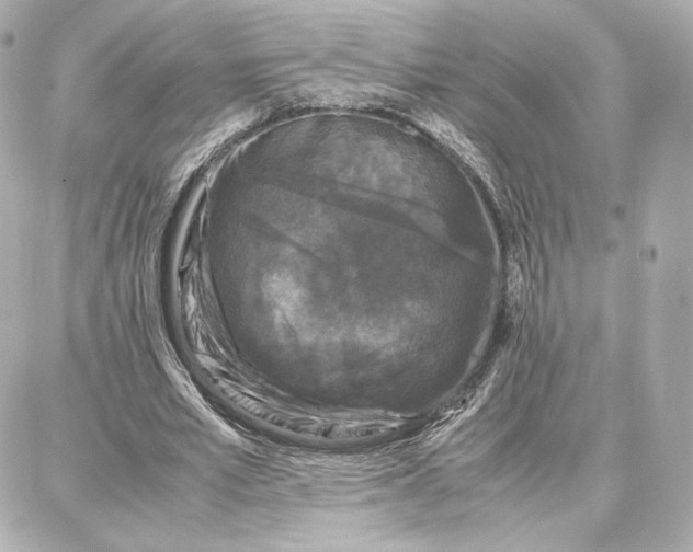 X0000087670581200705251621