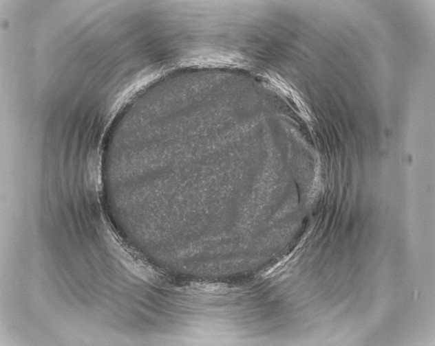 X0000087670582200705251621