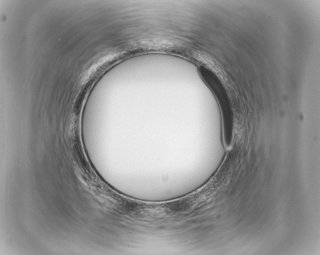 X0000087670583200705251621