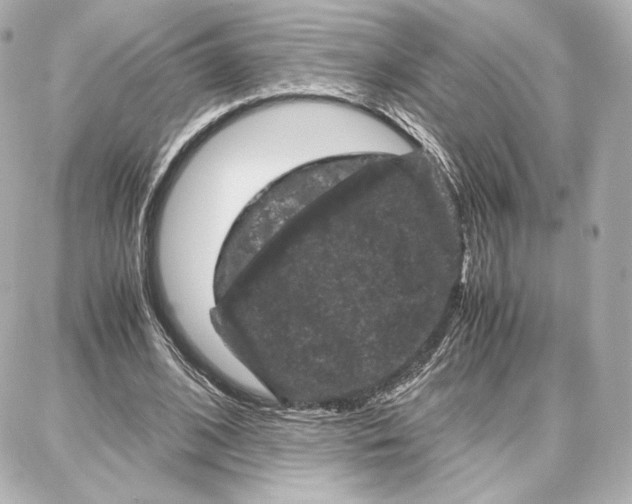 X0000087670584200705251621