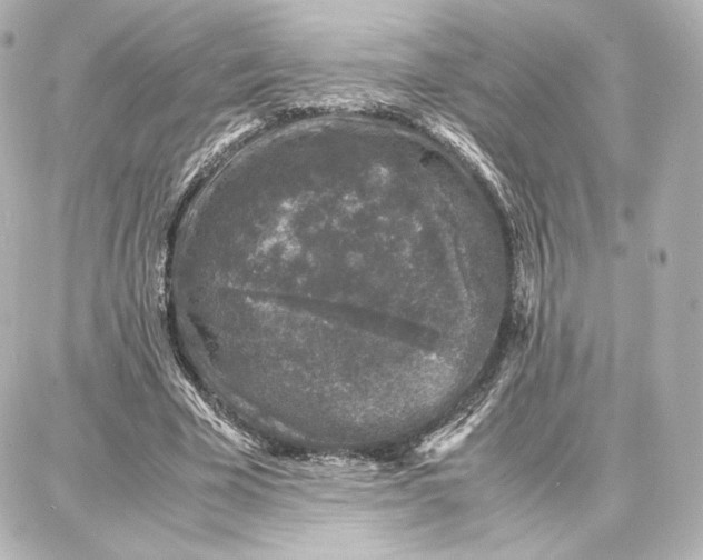 X0000087670585200705251621