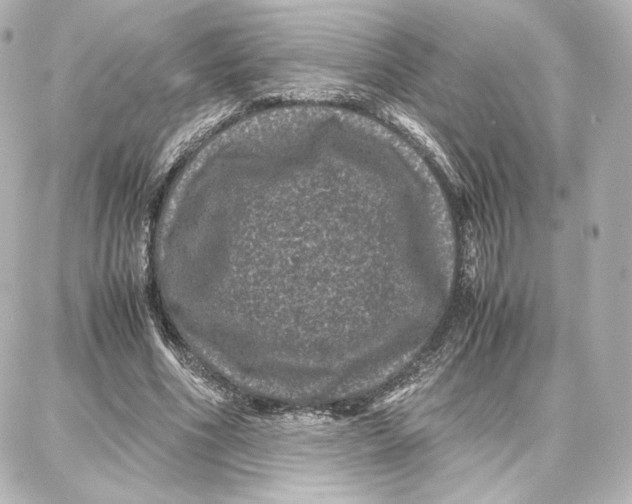 X0000087670586200705251621