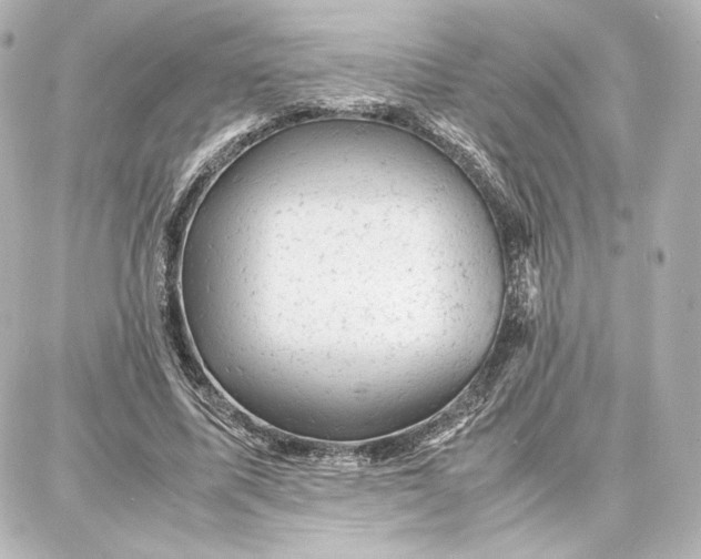 X0000087670587200705251621