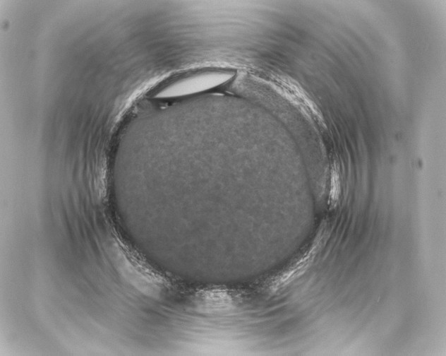 X0000087670588200705251621