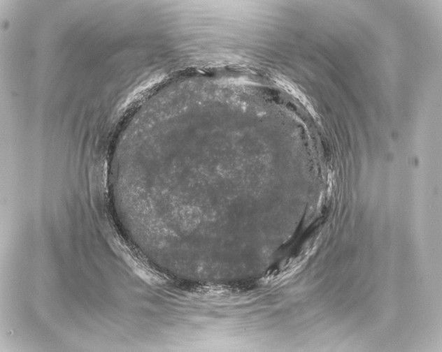 X0000087670589200705251621