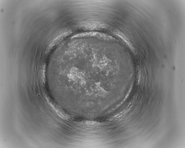 X0000087670590200705251621