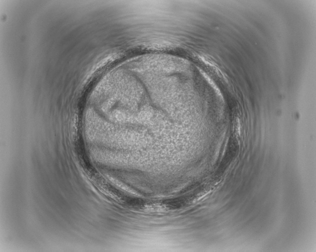 X0000087670591200705251621