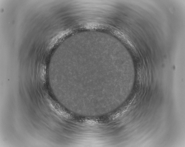 X0000087670592200705251621