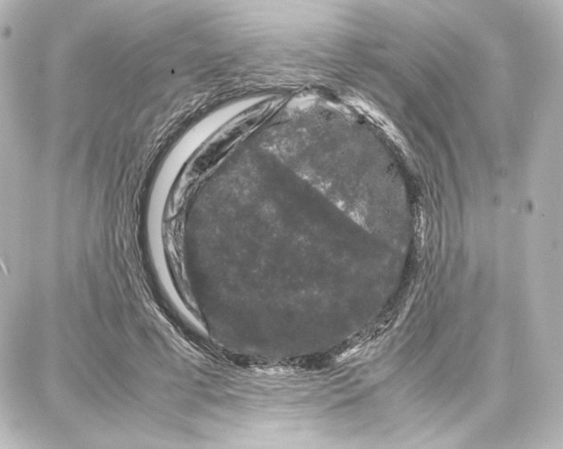 X0000087670593200705251621