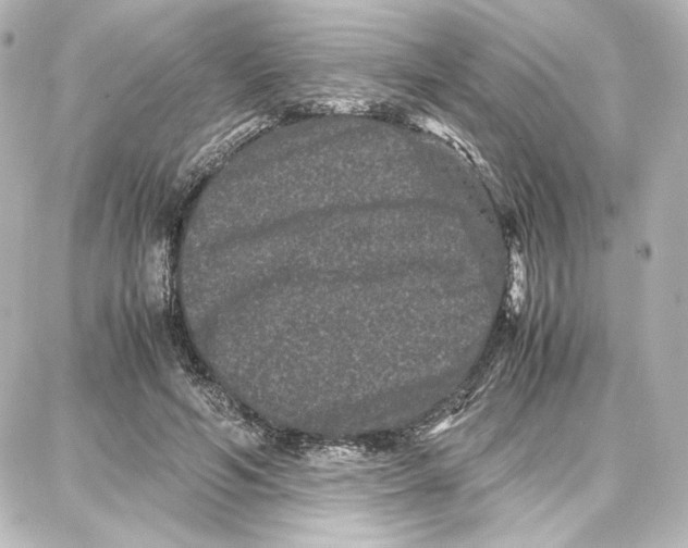 X0000087670594200705251621