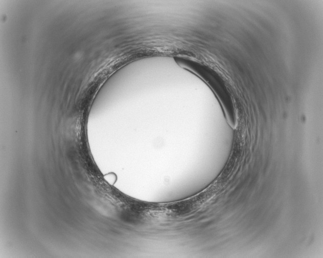 X0000087670595200705251621