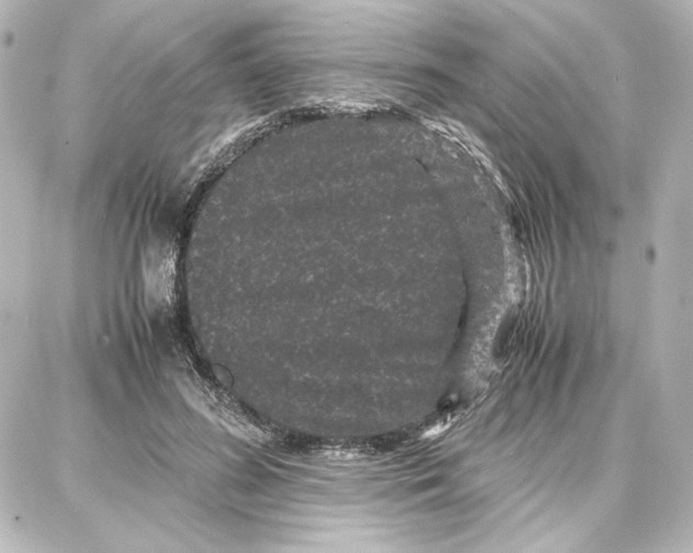 X0000087670596200705251621