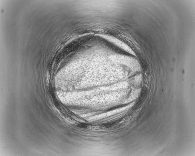 X0000087670597200705251621