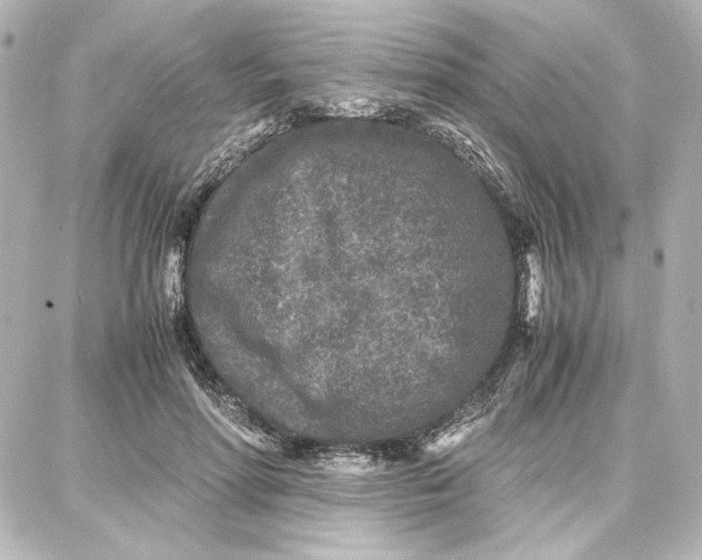 X0000087670598200705251621