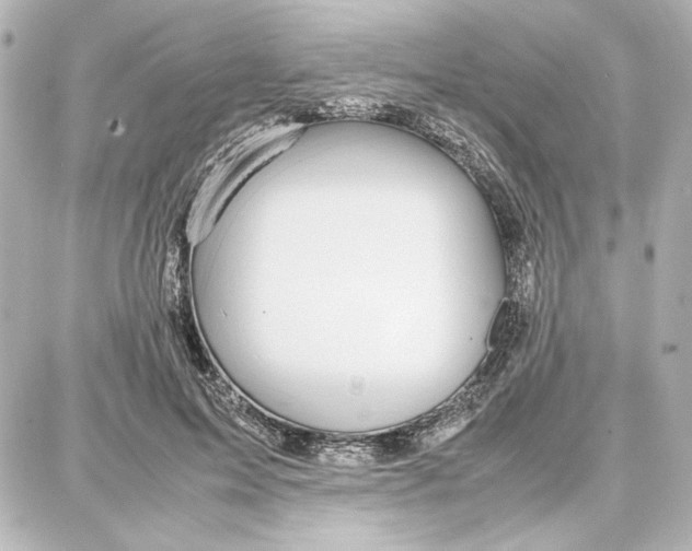 X0000087670599200705251621