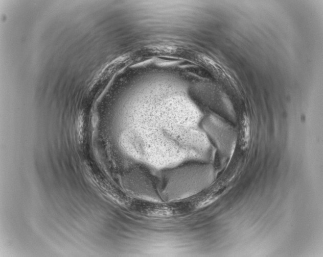 X0000087670600200705251621