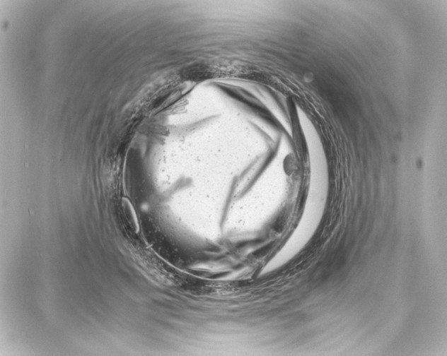 X0000087670601200705251621