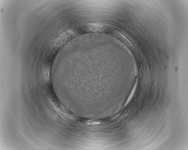 X0000087670602200705251621