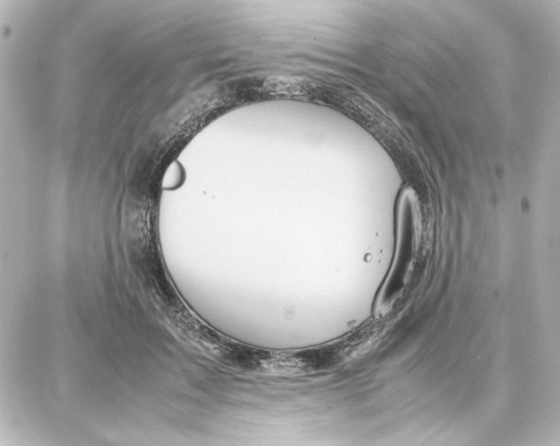 X0000087670603200705251621