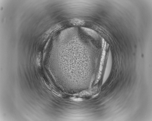 X0000087670604200705251621