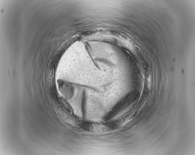 X0000087670605200705251620