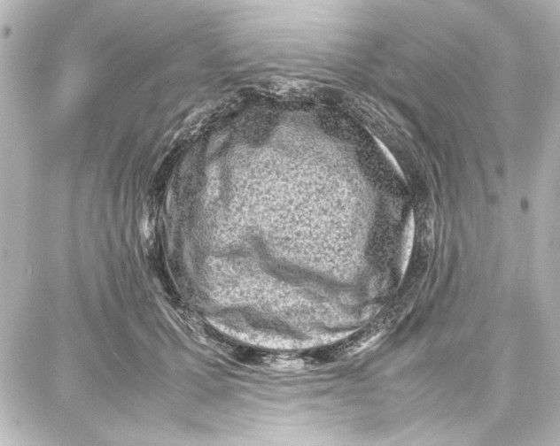 X0000087670607200705251620