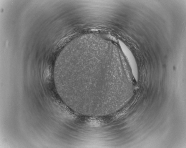 X0000087670608200705251620