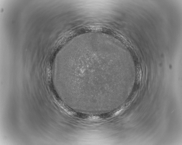 X0000087670609200705251620