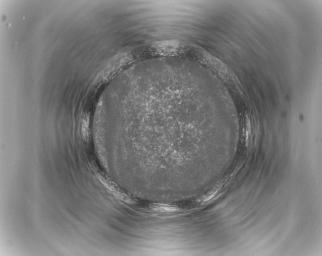 X0000087670610200705251620