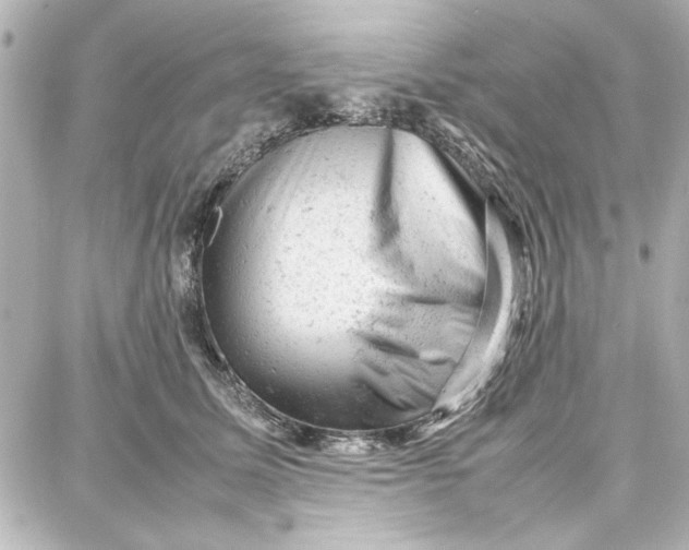 X0000087670611200705251620