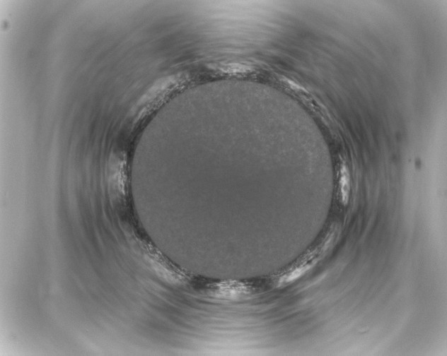 X0000087670612200705251620