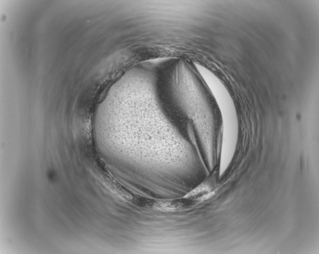 X0000087670613200705251620