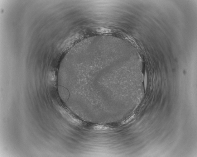 X0000087670614200705251620