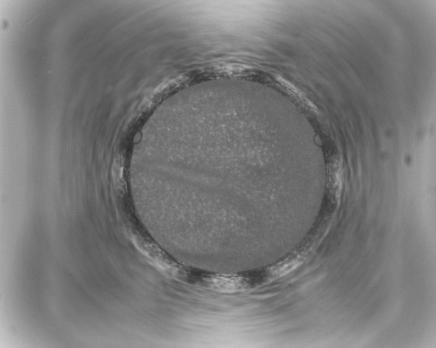 X0000087670615200705251620