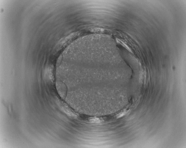 X0000087670616200705251620