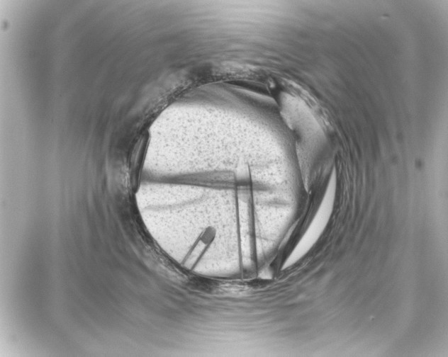 X0000087670617200705251620