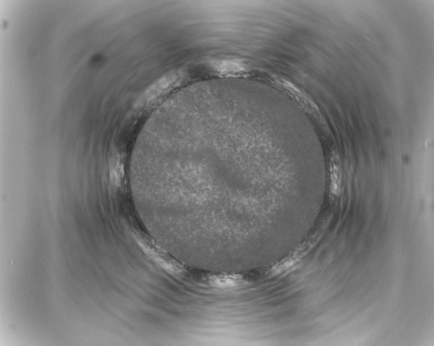 X0000087670618200705251620