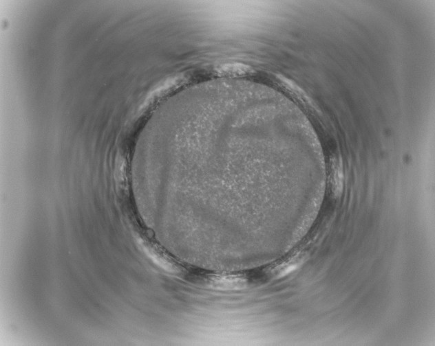 X0000087670619200705251620