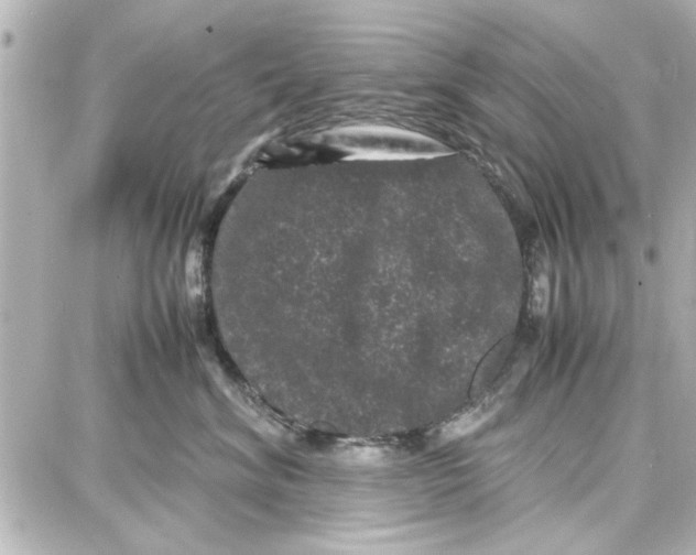 X0000087670620200705251620