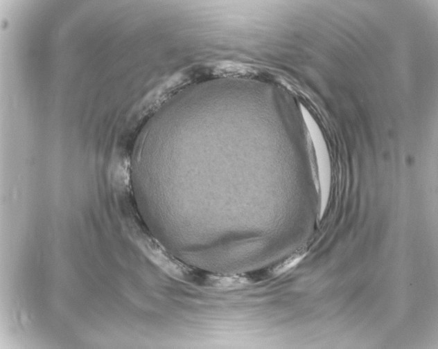 X0000087670621200705251620