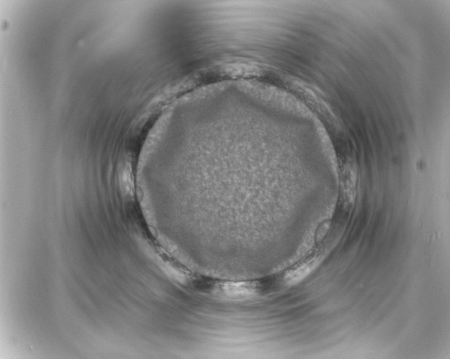 X0000087670622200705251620